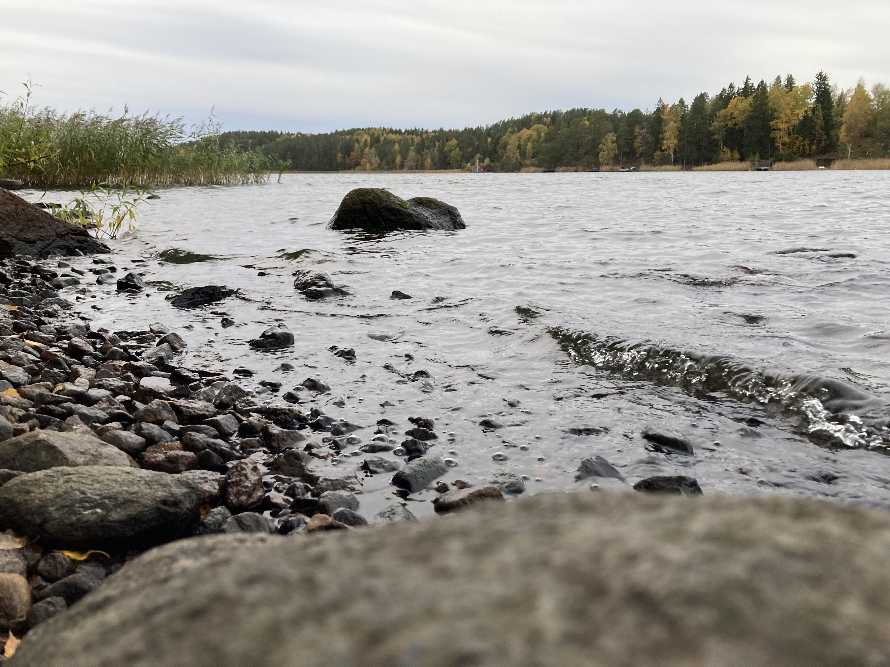 Mindfulness, Hav, Natur, Sjö, Skogsbad, Skogsbad, Skogsbadsguide, Naturandrum, Mindfulness